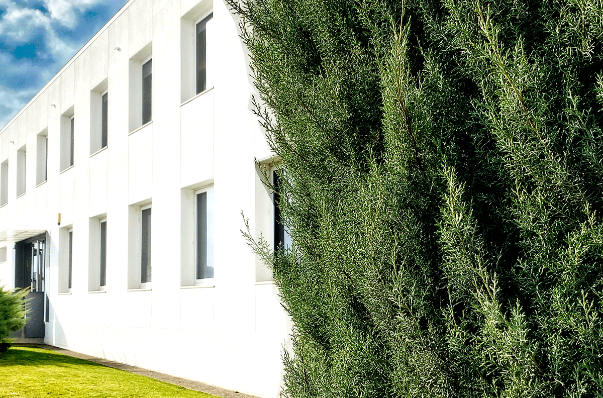 Visita'ns, t'esperem